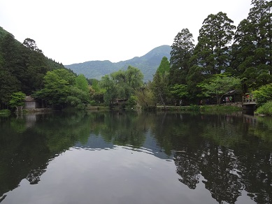d0144402_9133429.jpg