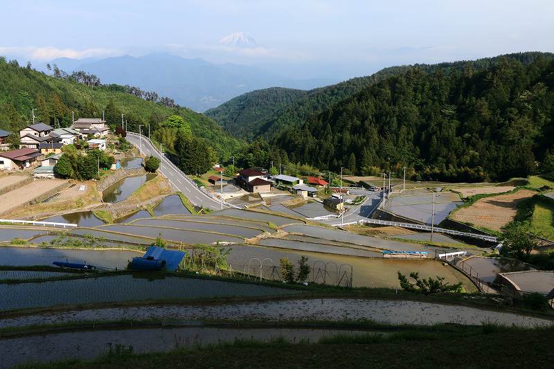 a0188405_21363639.jpg