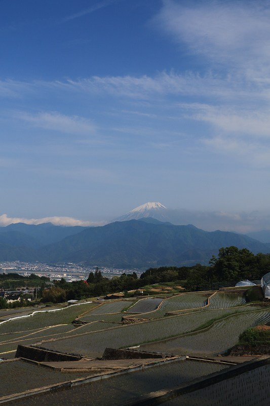 a0188405_2136479.jpg