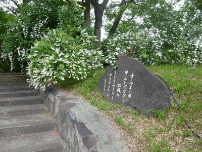 b0052108_10233991.gif