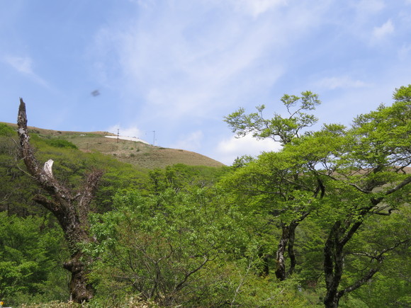 d0237309_21314934.jpg