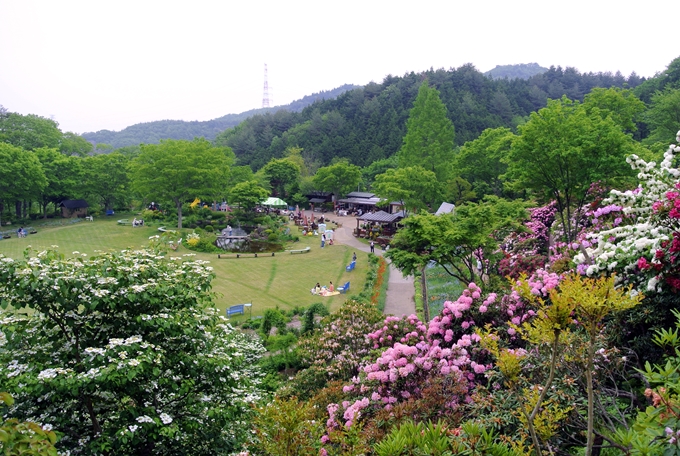 d0179113_00264059.jpg