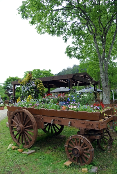 d0179113_00271767.jpg