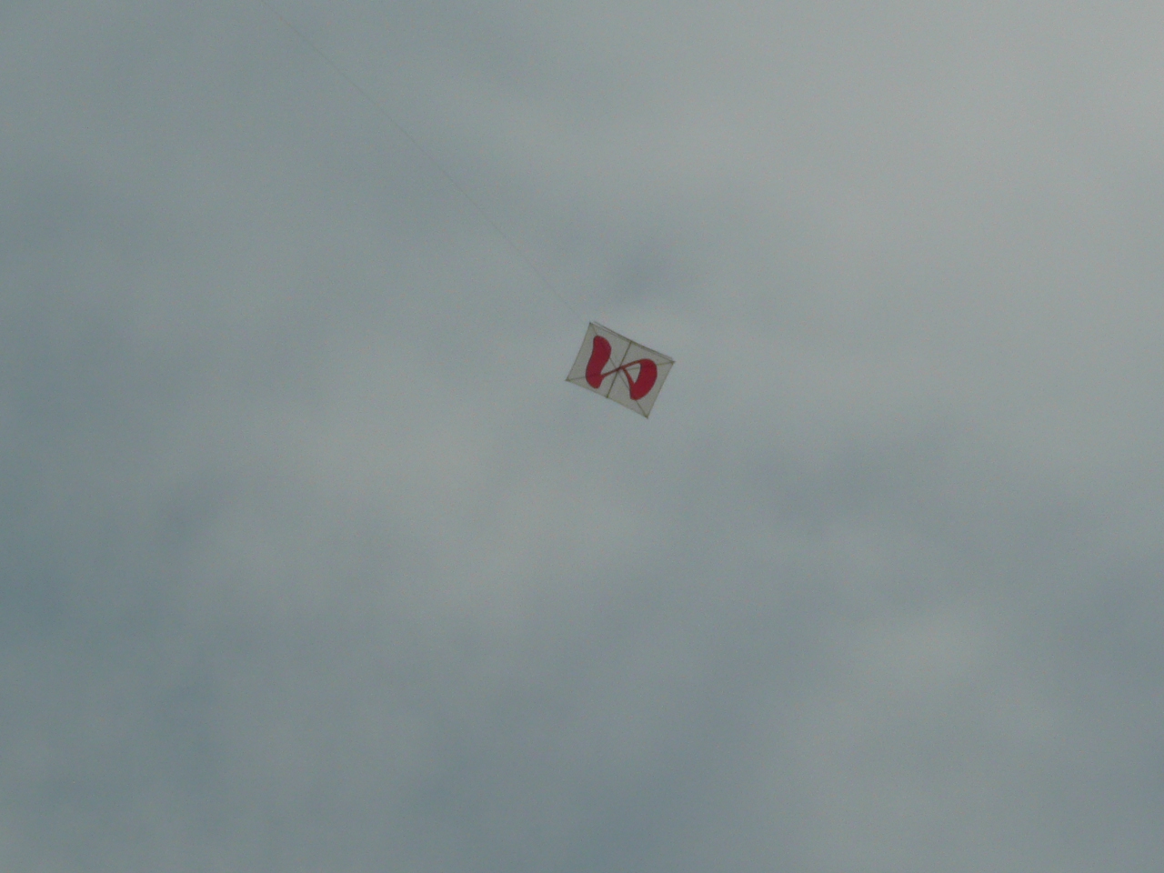 c0009528_22382952.jpg