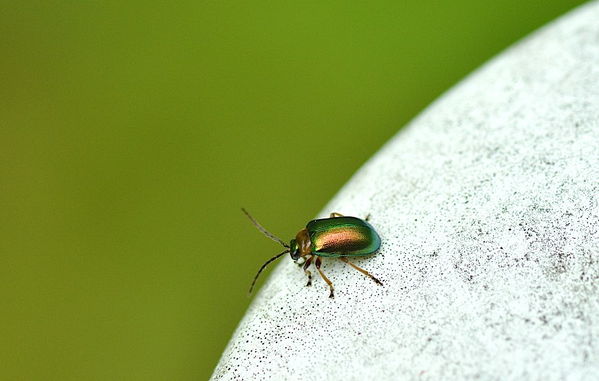 d0303129_21555917.jpg