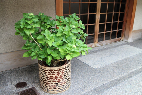 d0033734_21173618.jpg
