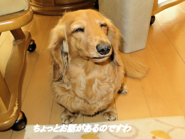 a0149240_10114555.jpg
