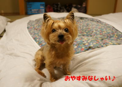 b0001440_1542658.jpg