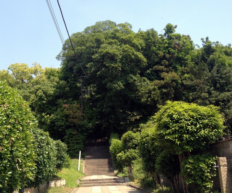 b0057140_23284671.jpg
