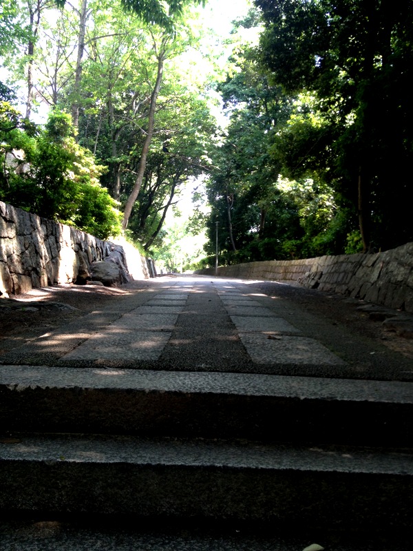 b0057140_2331337.jpg