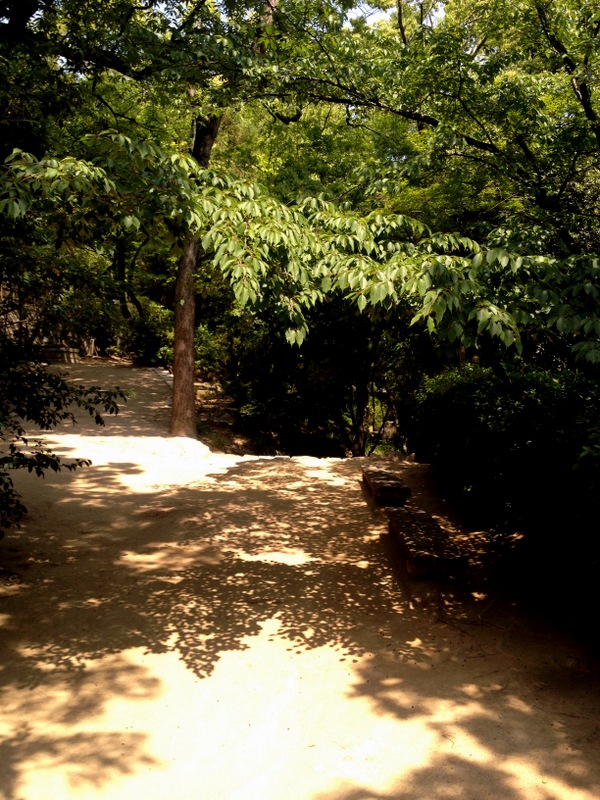 b0057140_23362675.jpg
