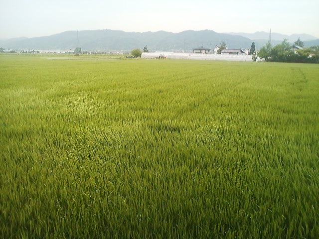 a0272241_20323249.jpg