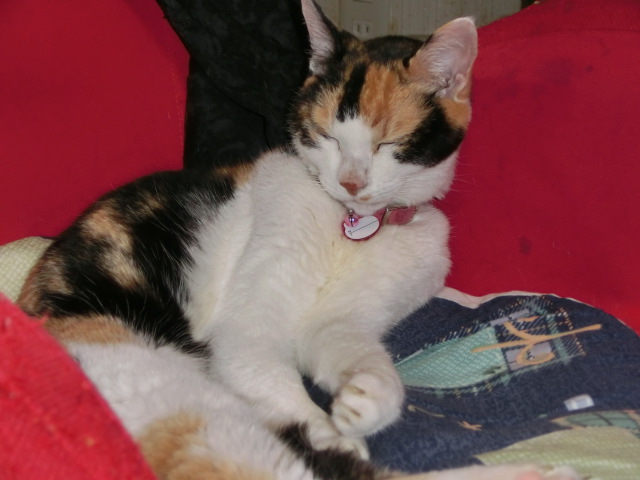 c0194042_20231780.jpg