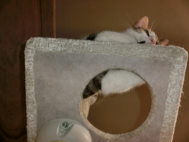 c0194042_20342592.jpg