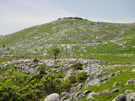 e0164643_15325478.jpg
