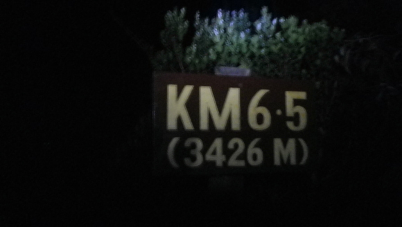 c0042847_10145247.jpg