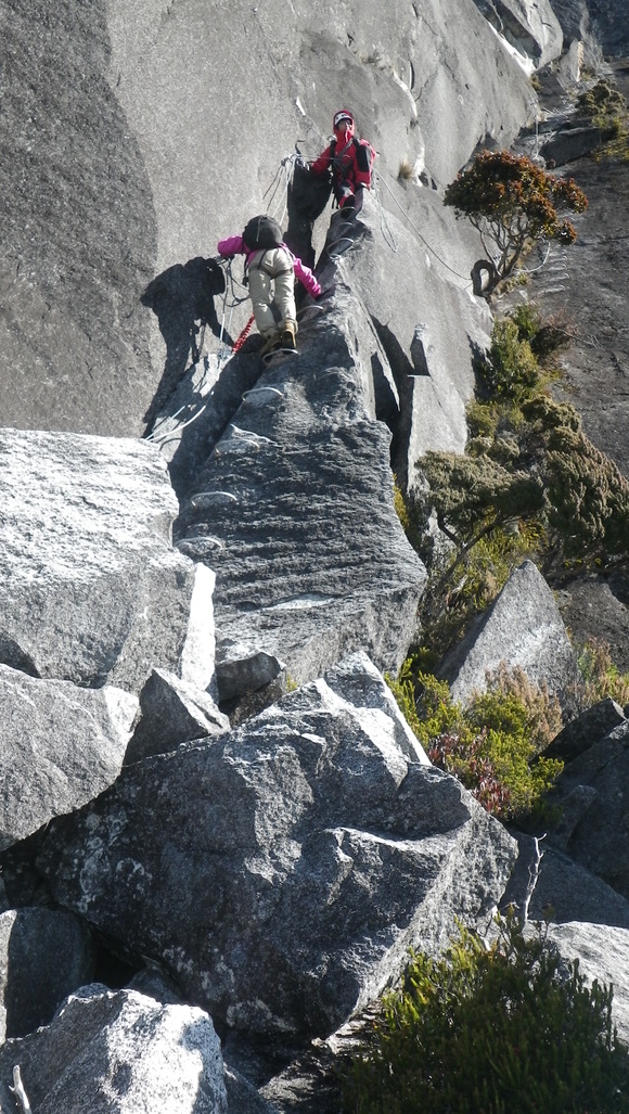 c0042847_15302445.jpg