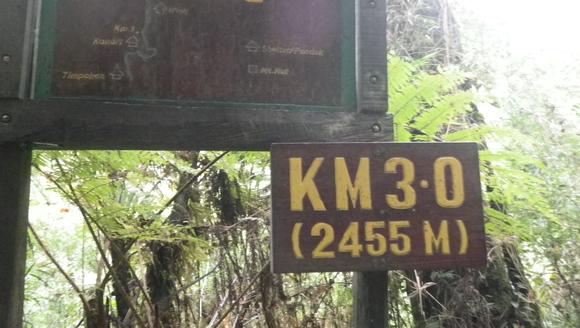 c0042847_15344067.jpg