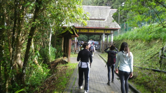 c0042847_15372271.jpg