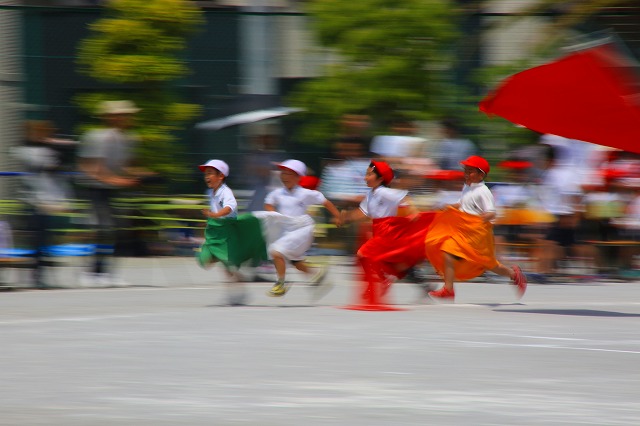 f0288049_8201451.jpg