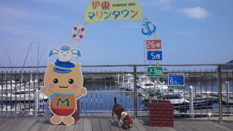 f0046250_1465660.jpg