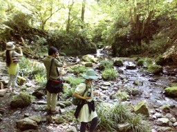 f0182550_1192584.jpg