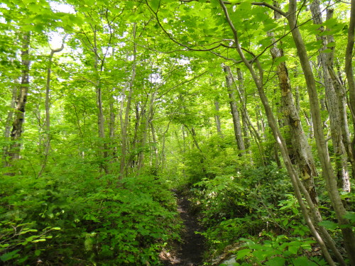 c0179351_19385225.jpg
