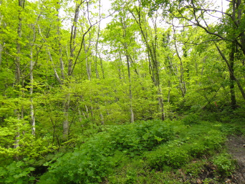 c0179351_194103.jpg