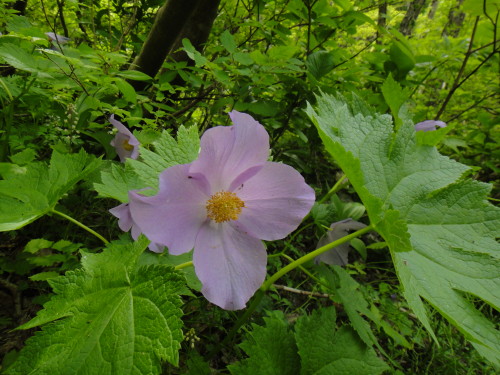 c0179351_19412462.jpg