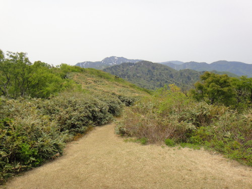c0179351_20102020.jpg