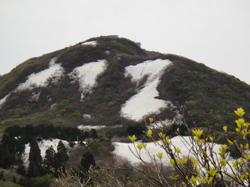 c0179351_20114216.jpg