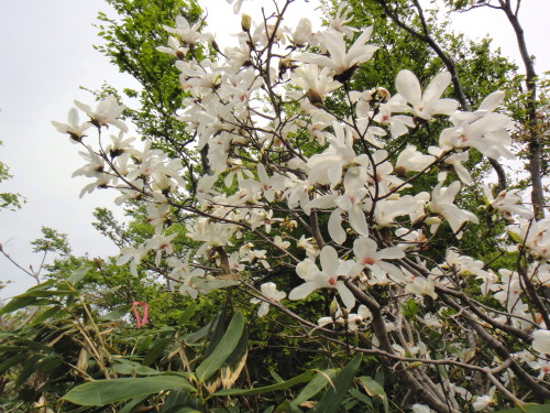 c0179351_2061253.jpg