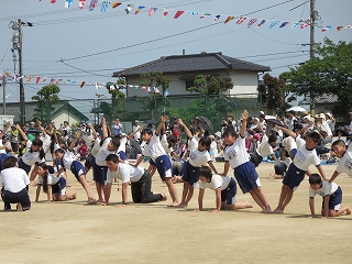 d0031853_839186.jpg