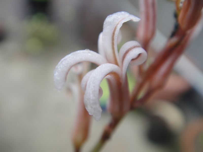 c0108460_16105940.jpg
