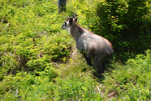 c0043361_023556.jpg