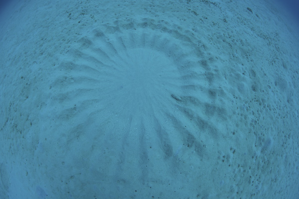 b0062363_7635.jpg