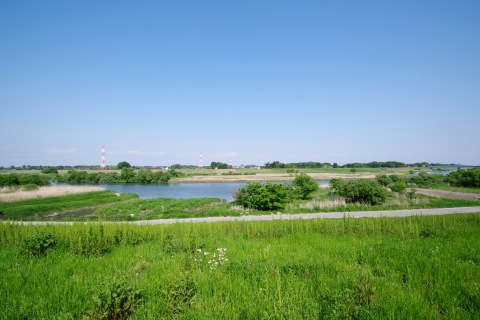 e0045768_22301284.jpg
