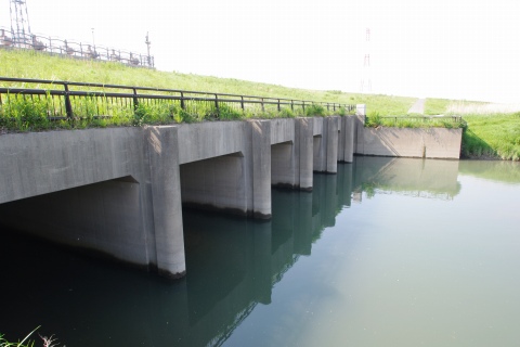 e0045768_22312725.jpg