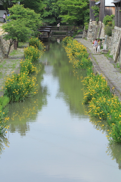 b0055171_14341339.jpg