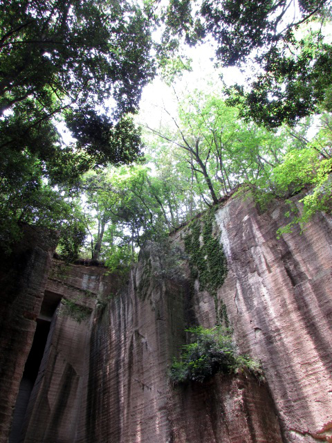 b0004675_1252068.jpg
