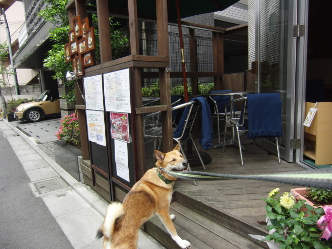 b0246876_00125733.jpg