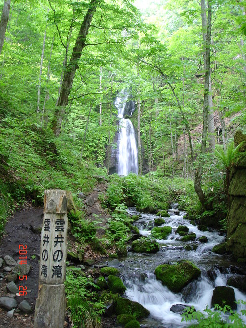 d0165378_12204772.jpg