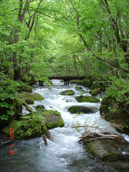 d0165378_12231777.jpg