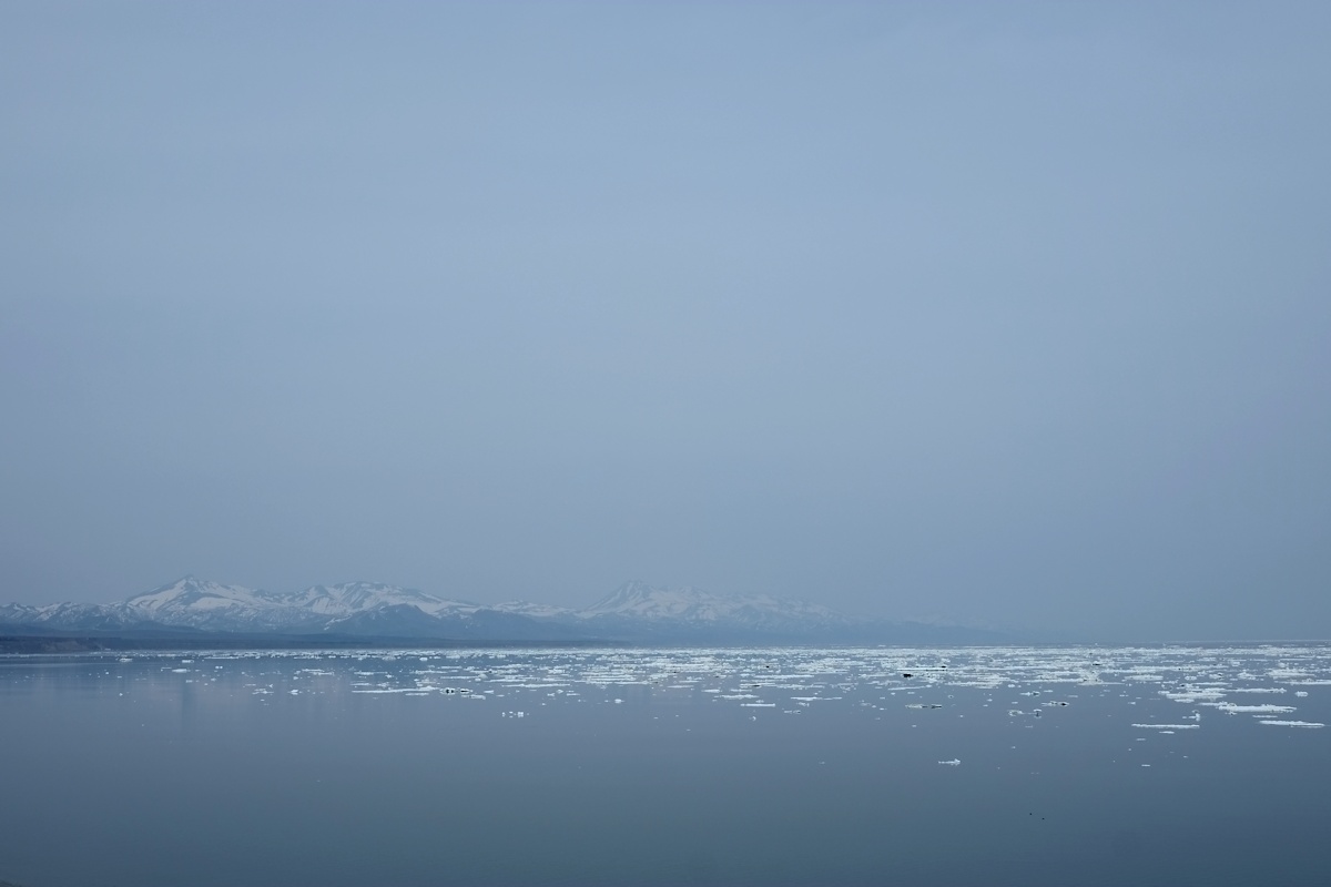 e0051186_20464379.jpg