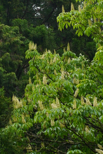 b0226089_19372393.jpg