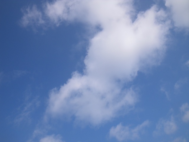 c0193396_17583226.jpg