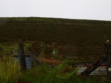 b0110999_17513524.jpg