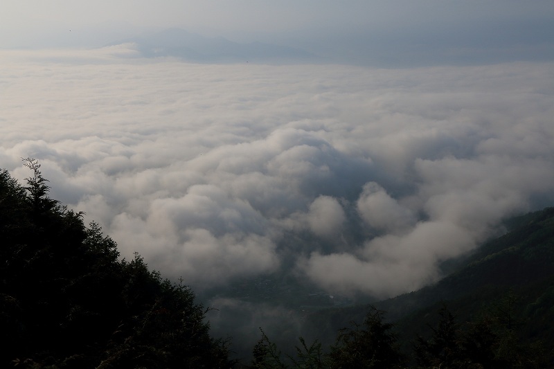 a0188405_21112444.jpg