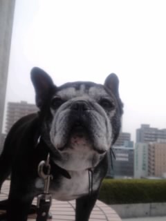 b0085408_21572970.jpg