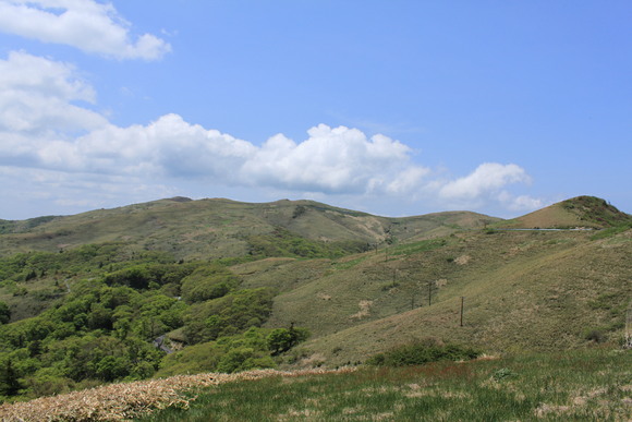 d0237309_2243290.jpg